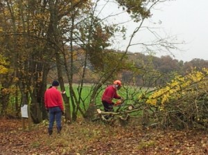 20131127_115416