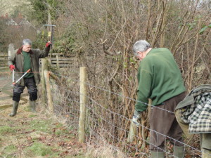 Clearing the existing Hedge