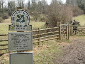 Hambledon