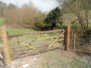 Rehanging gate