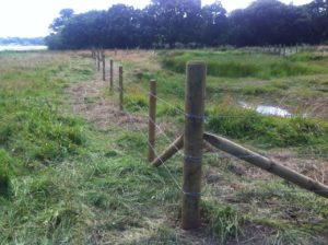 Fencing Pond at Hacketts Marsh